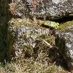 Cantinho De בית נופש *