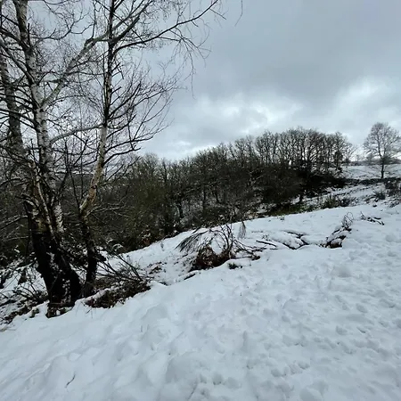 Cantinho De בית נופש Tourem