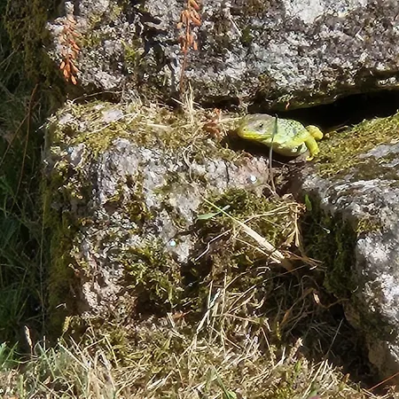 Cantinho De Tourêm Casa de Férias *
