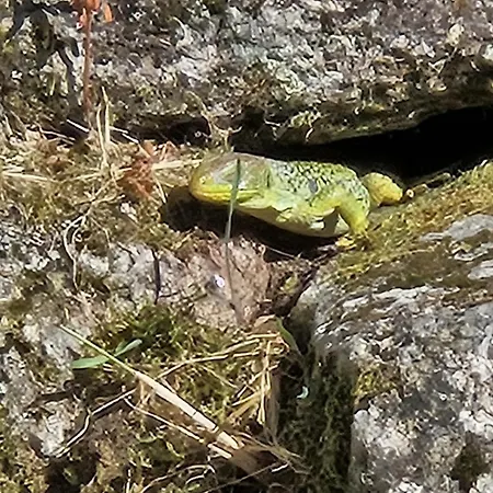 Cantinho De Tourêm Tourem