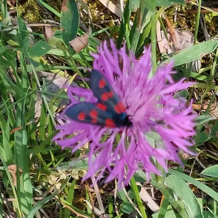 Casa de Férias Cantinho De Tourêm Tourem