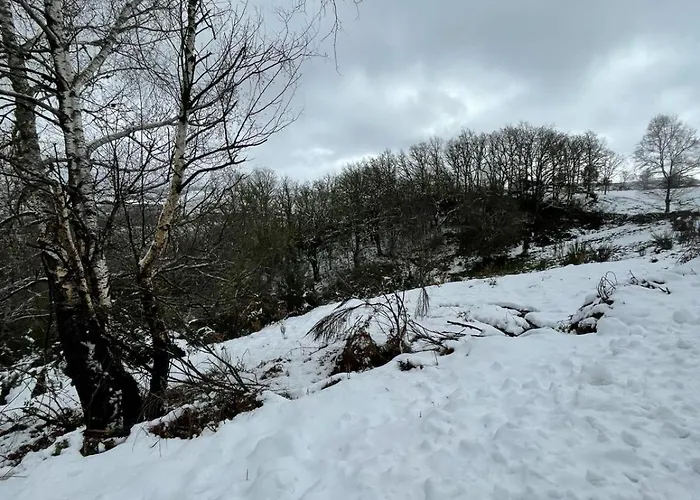 Cantinho De Vakantiehuis Tourem