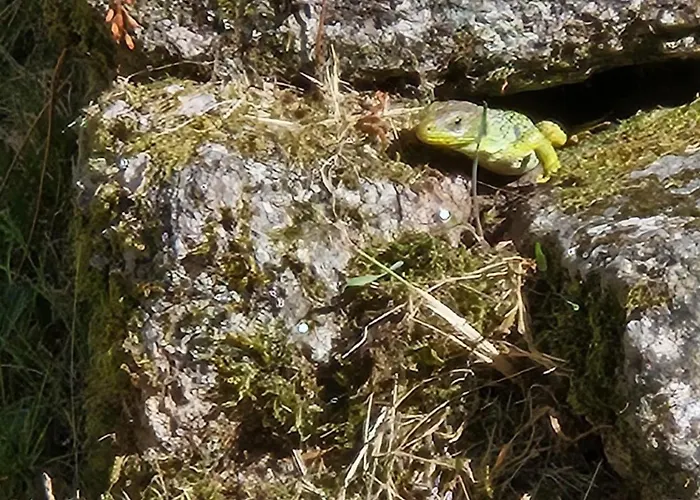 Cantinho De Дом отдыха *